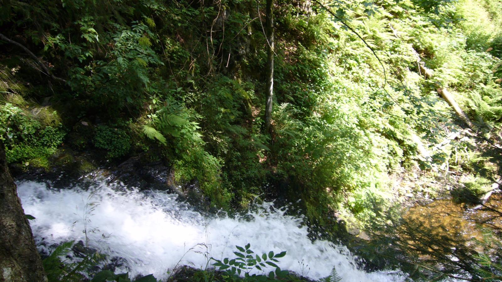 Fichtenhof am Wasserfall - Zones été à 1 km