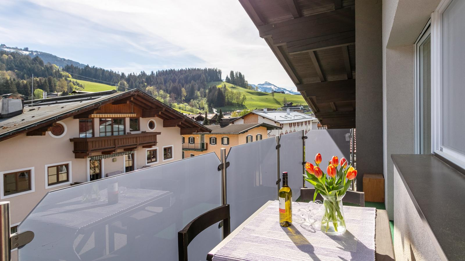 Fritz 1 und 2 - Terrasse / balcon