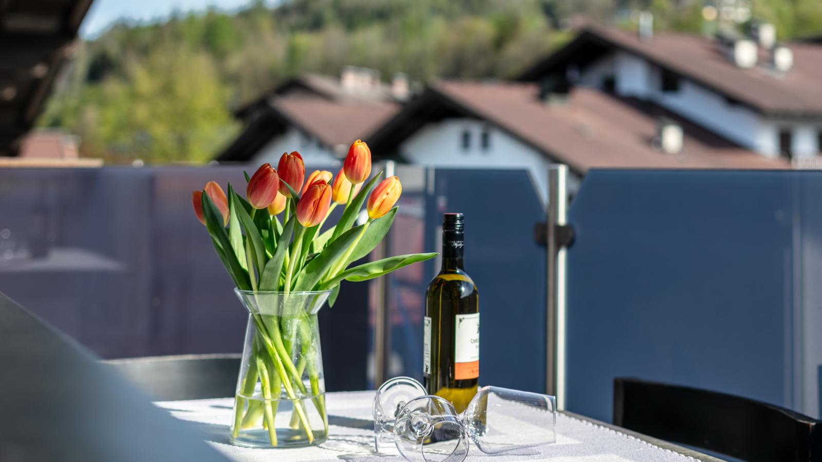 Fritz 1 und 2 - Terrasse / balcon
