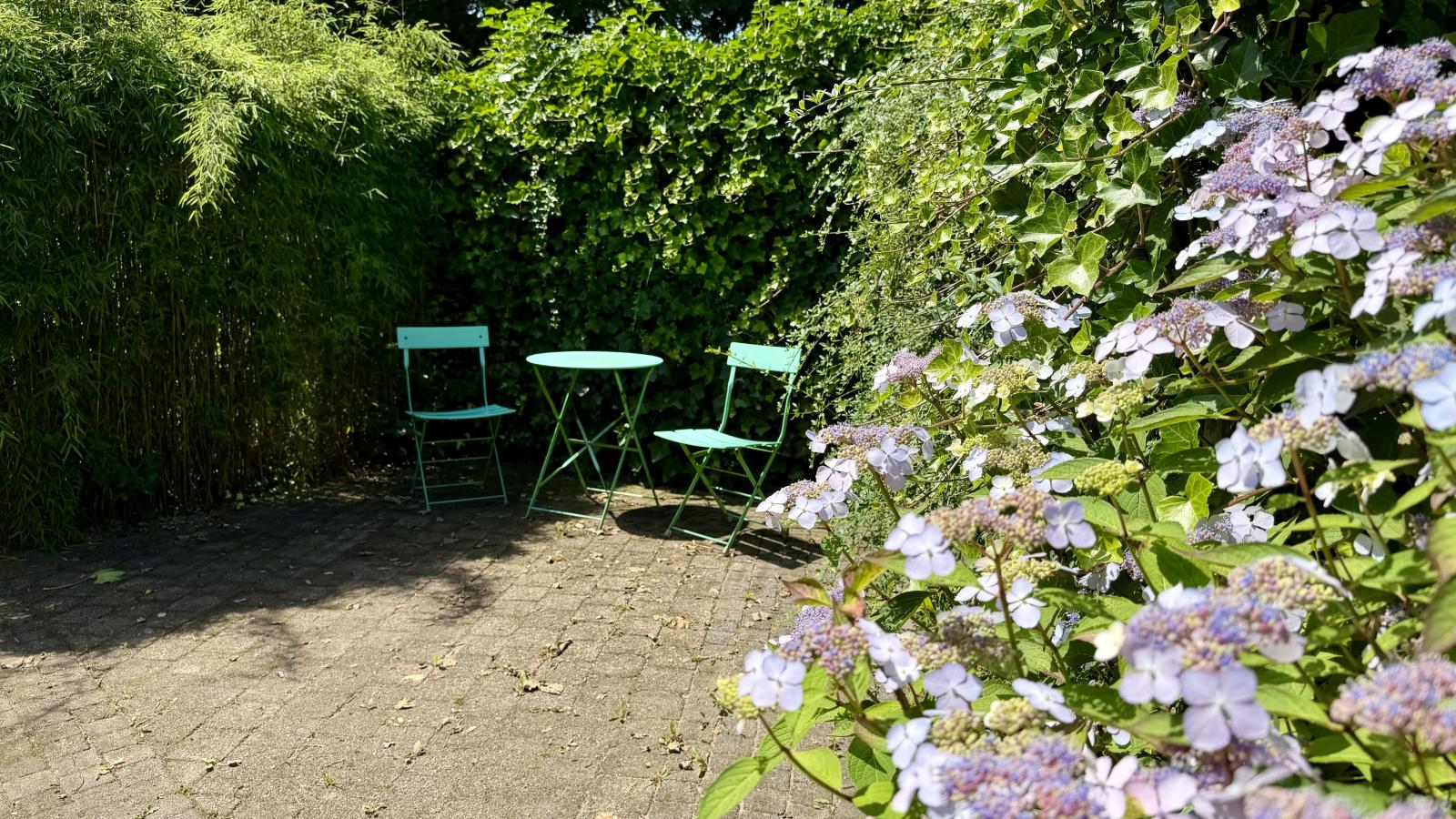 Villaatje Veluwe - Tuinen zomer