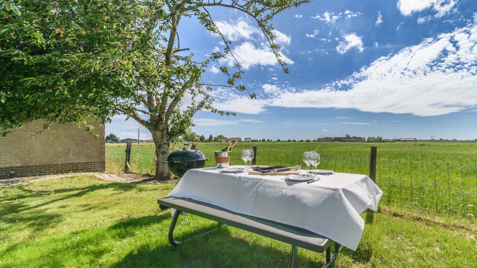 Villa Robert  - + parking - Garten Sommer