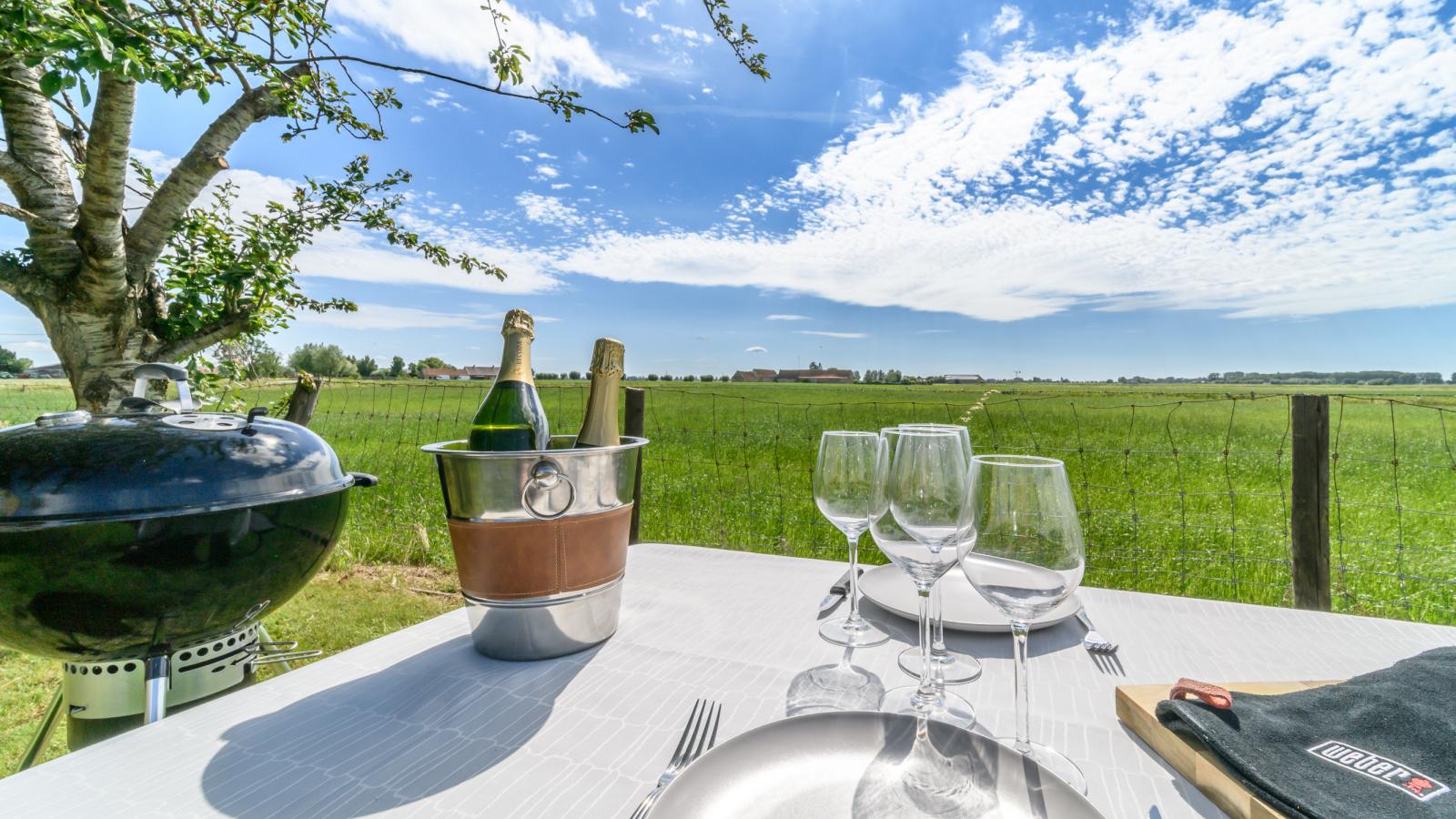 Villa Robert  - + parking - Garten Sommer