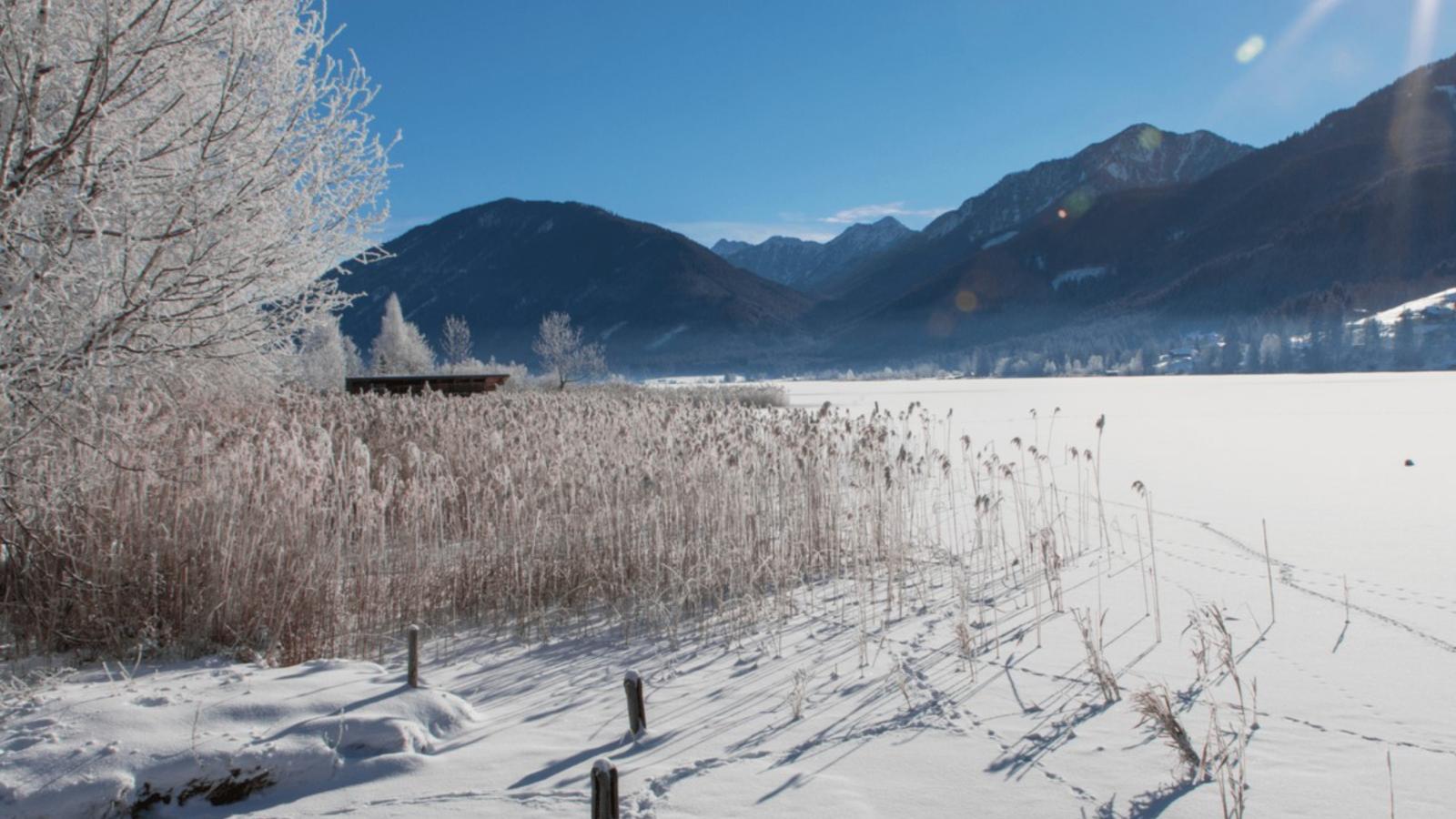 SeeZeit am Pressegger See - Area within 5km in winter