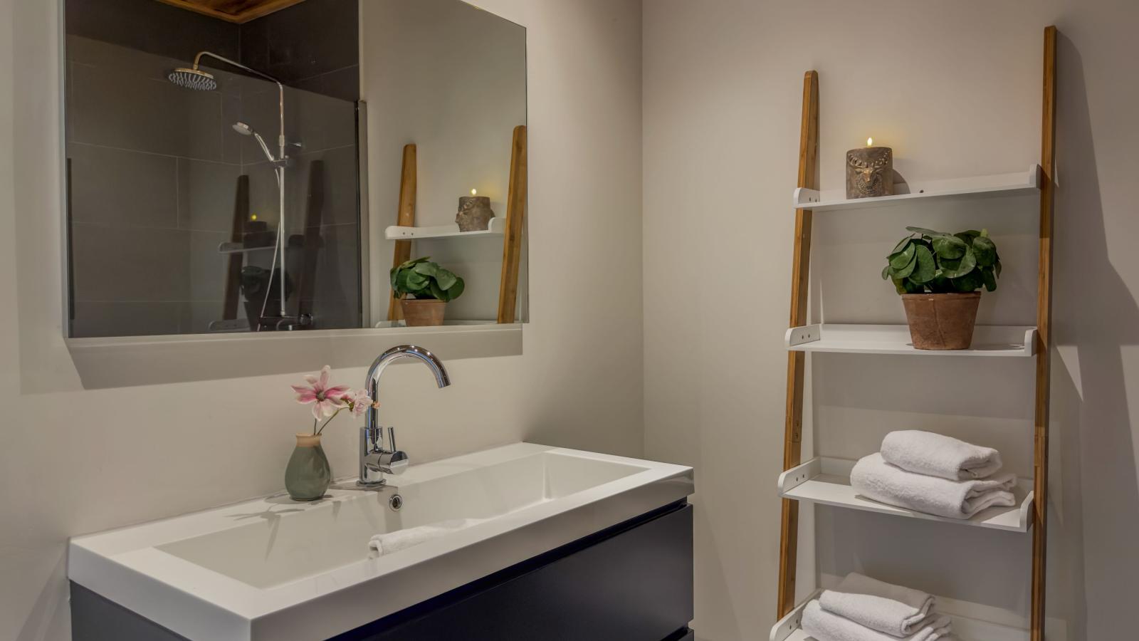 Seeblick am Pressegger See - Bathroom