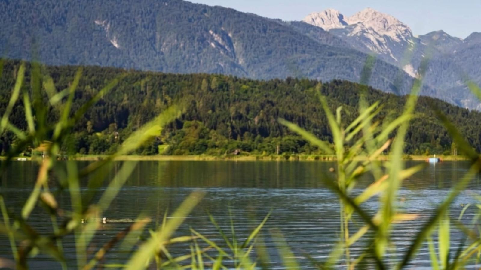 Seeblick am Pressegger See - Gebieden zomer 20km