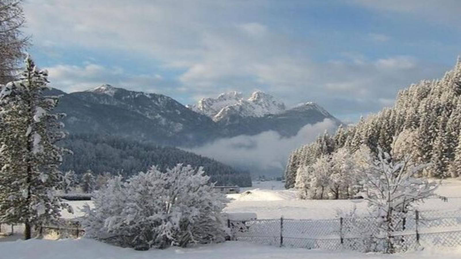 Seeblick am Pressegger See - Area within 20km in winter