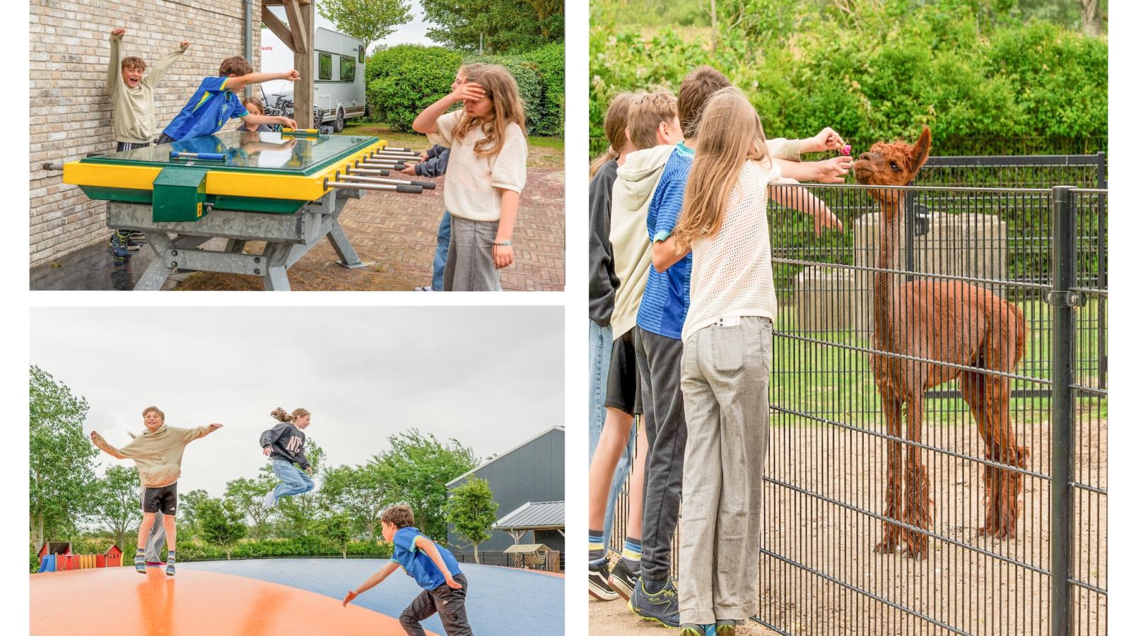 Bumble bee - Park facilities