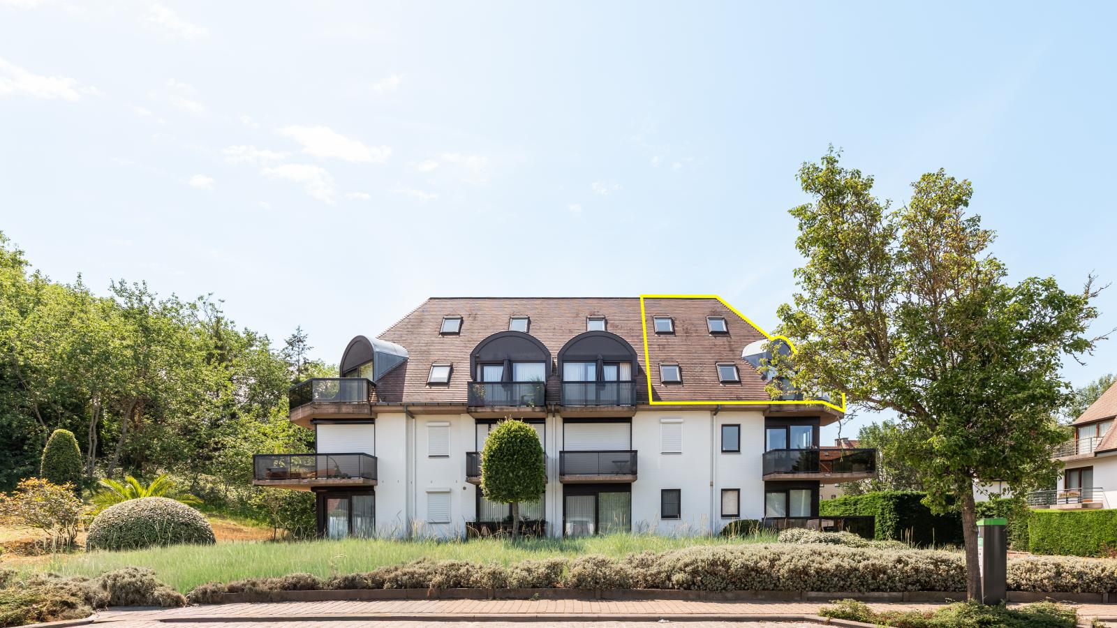 Donny - Exterior in summer