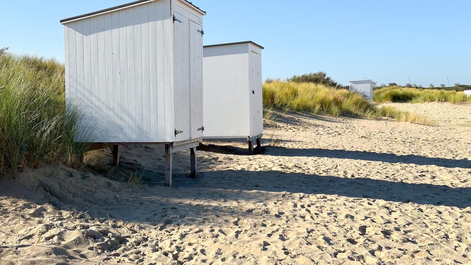 Sea Foam - Areas within 5km in summer