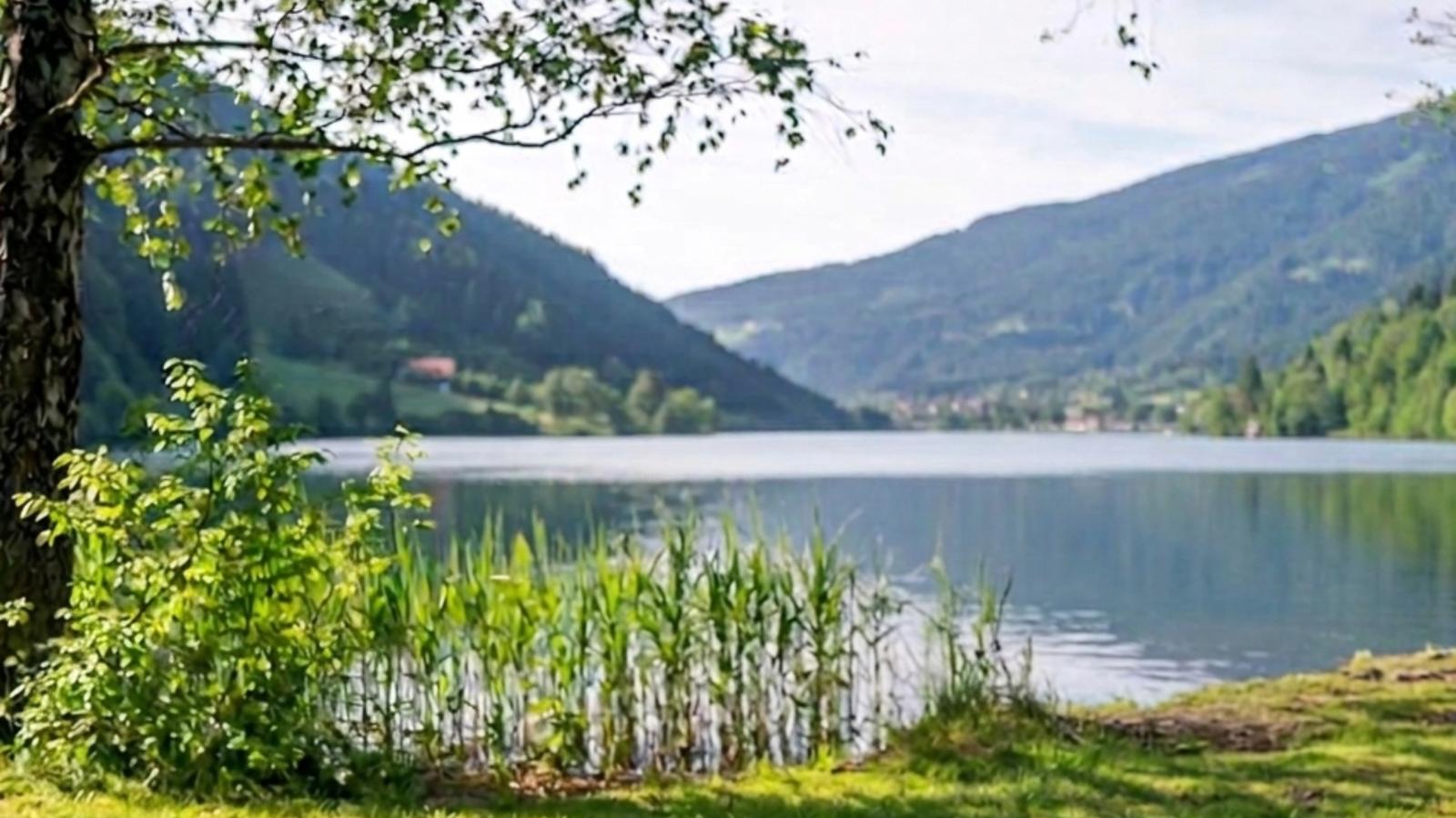 Alpenblick am Afritzer See - Gebieden zomer 1km
