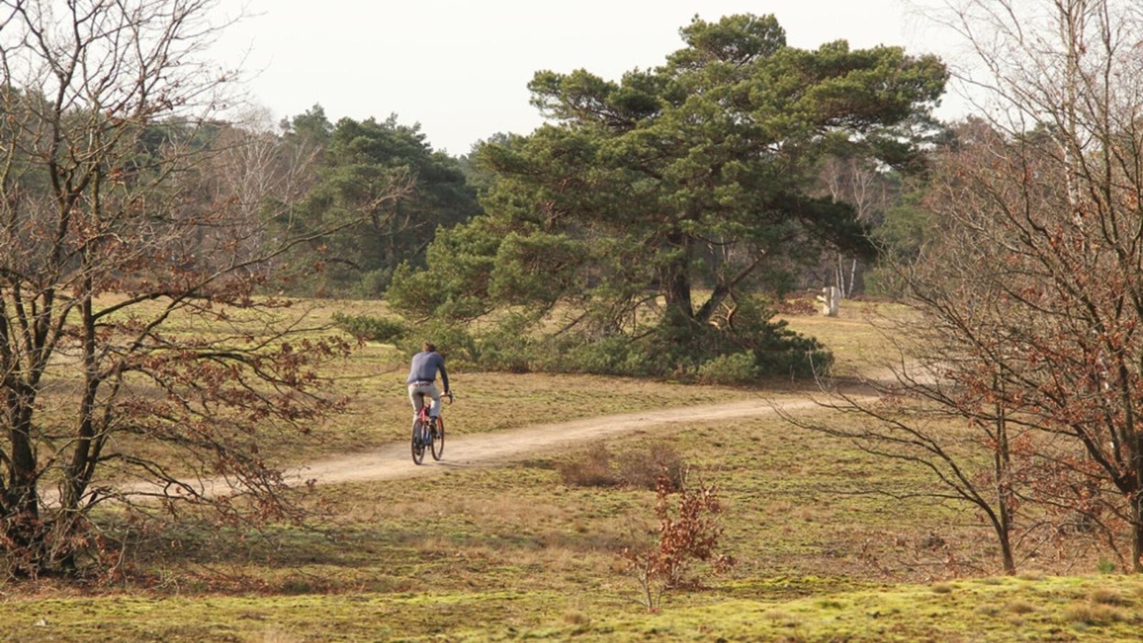 Stiltewoud - Zones été à 1 km
