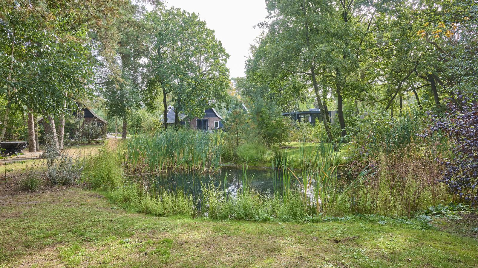 Stiltewoud - Uitzicht zomer