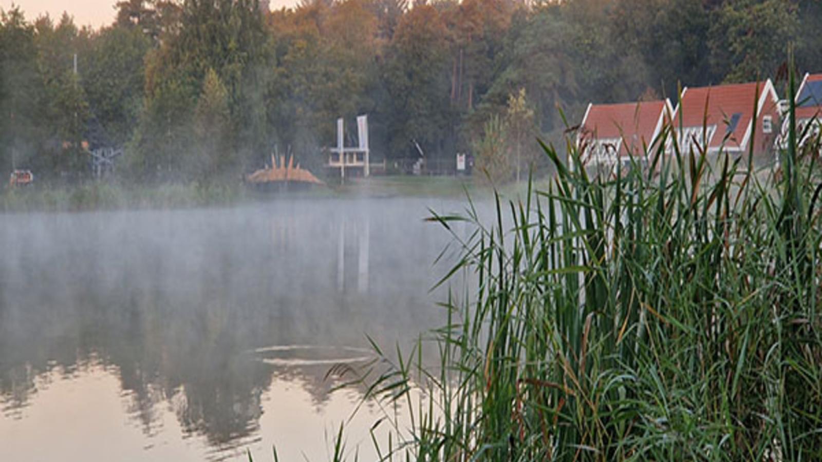 Stiltewoud - Installations du parc
