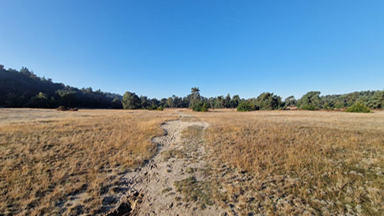 Stiltewoud - Zones été à 1 km