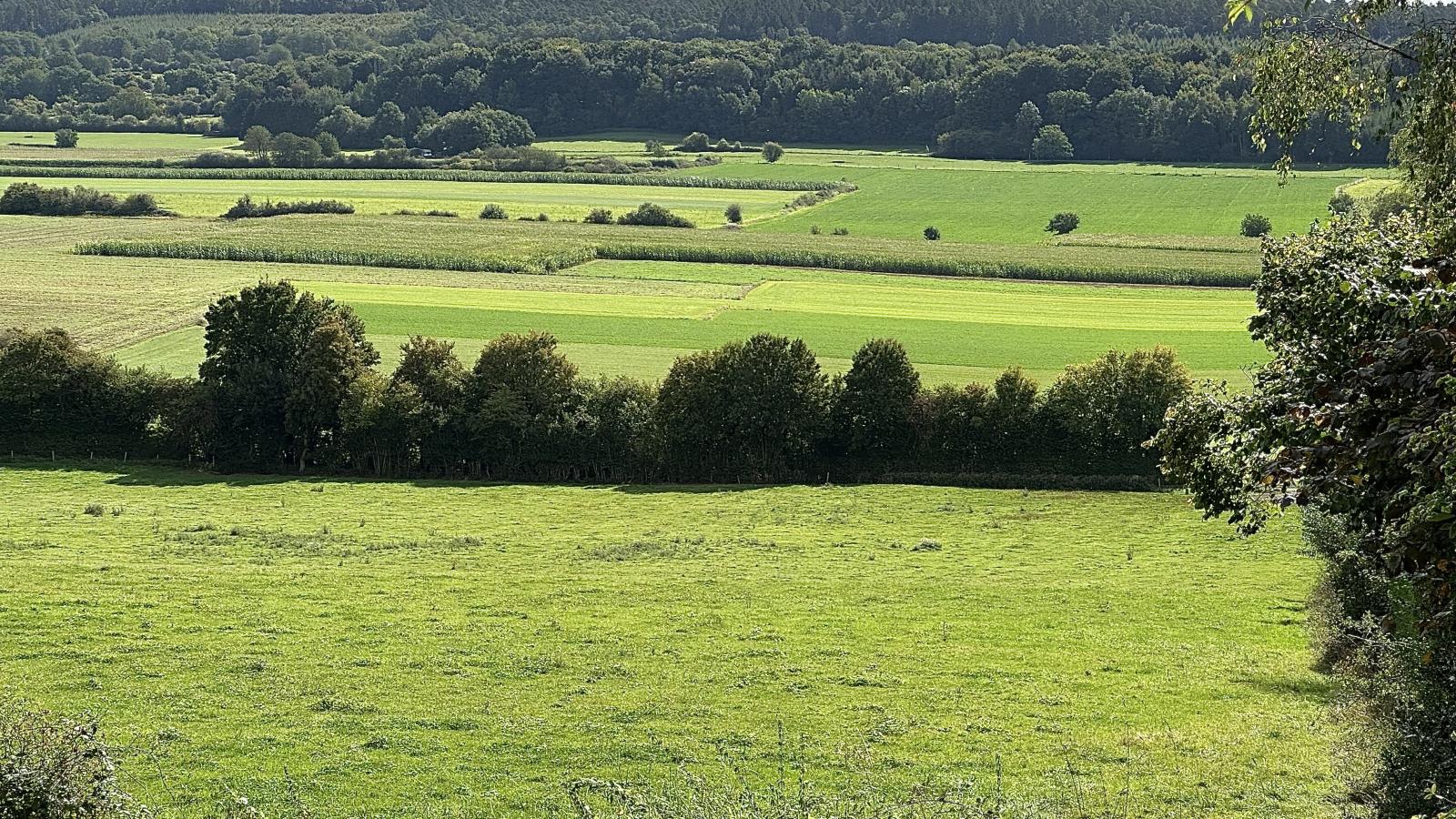 Villa M - Areas within 1km in summer