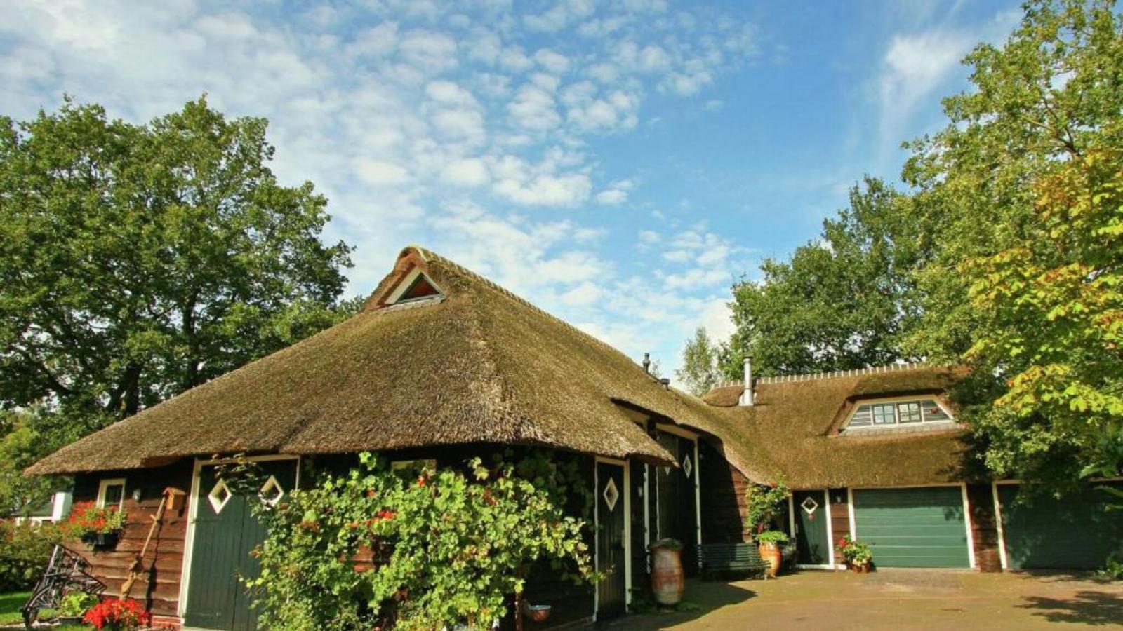 Hytte - Exterior in summer