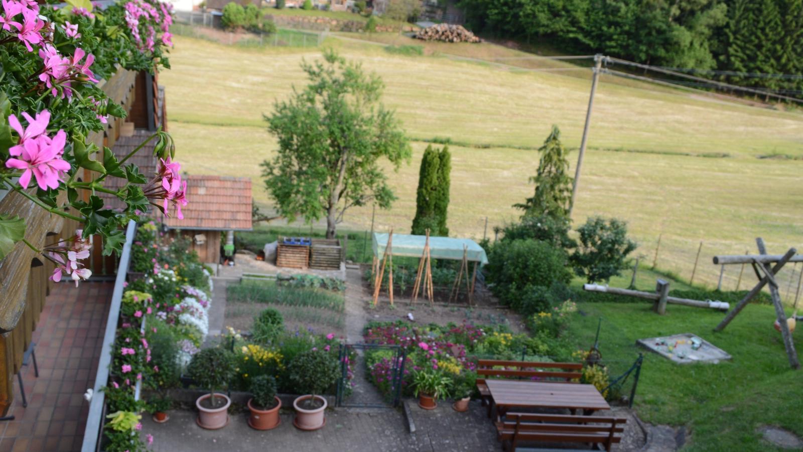 Schwarzwald - View in summer