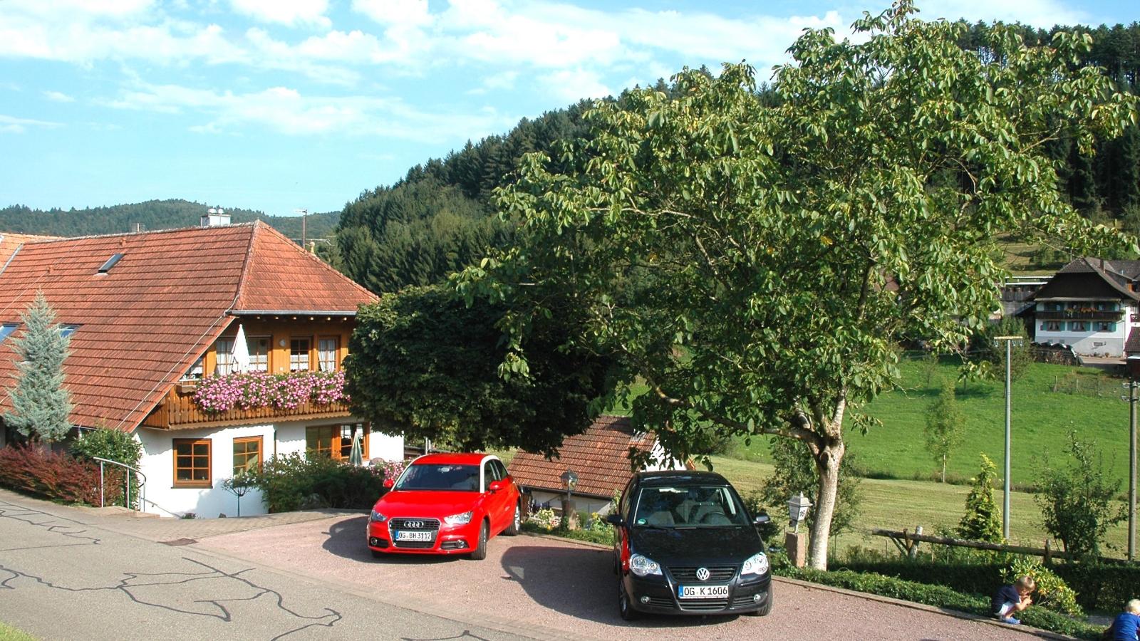 Schwarzwald - Exterior in summer