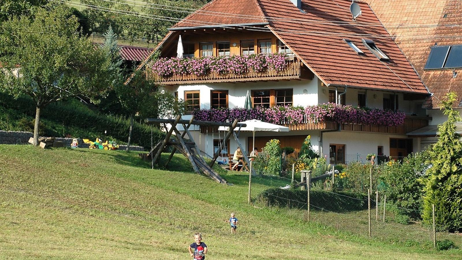 Schwarzwald - Exterior in summer