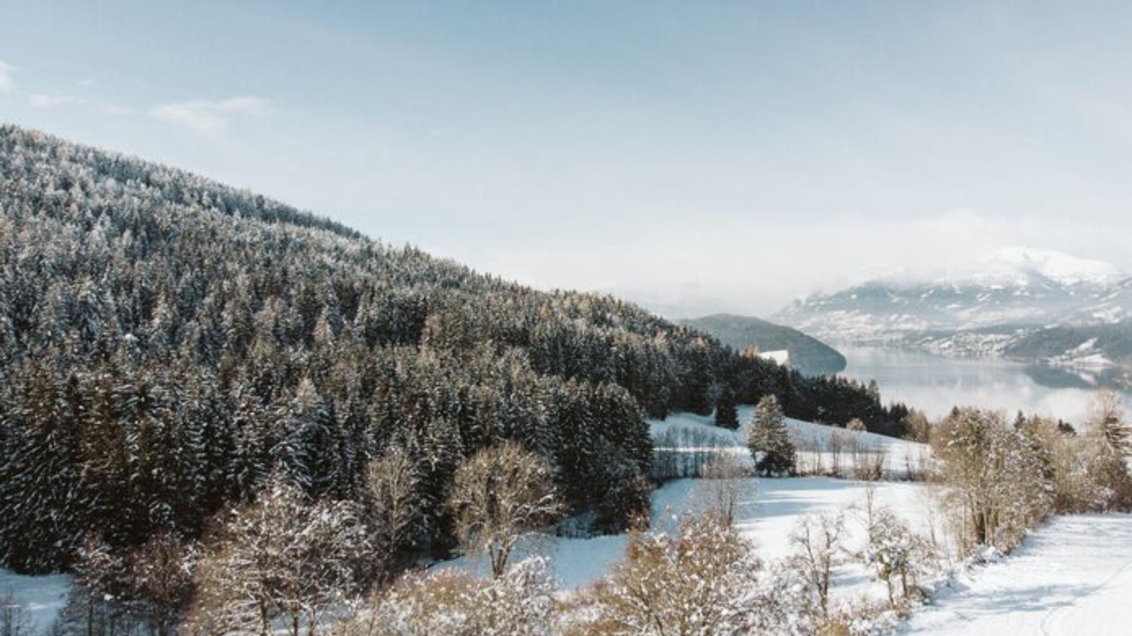 Auszeit am Afritzer See - Area within 5km in winter