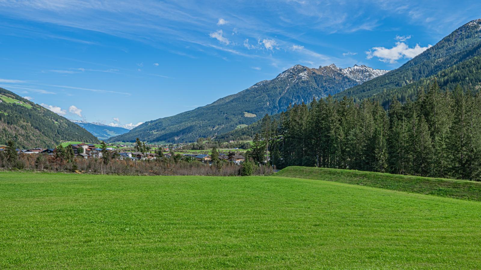 Moser Top 3 - Areas within 1km in summer