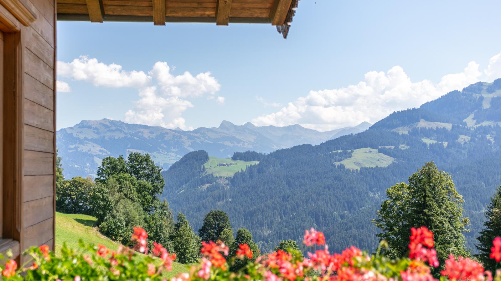 Am Sonnberg - View in summer
