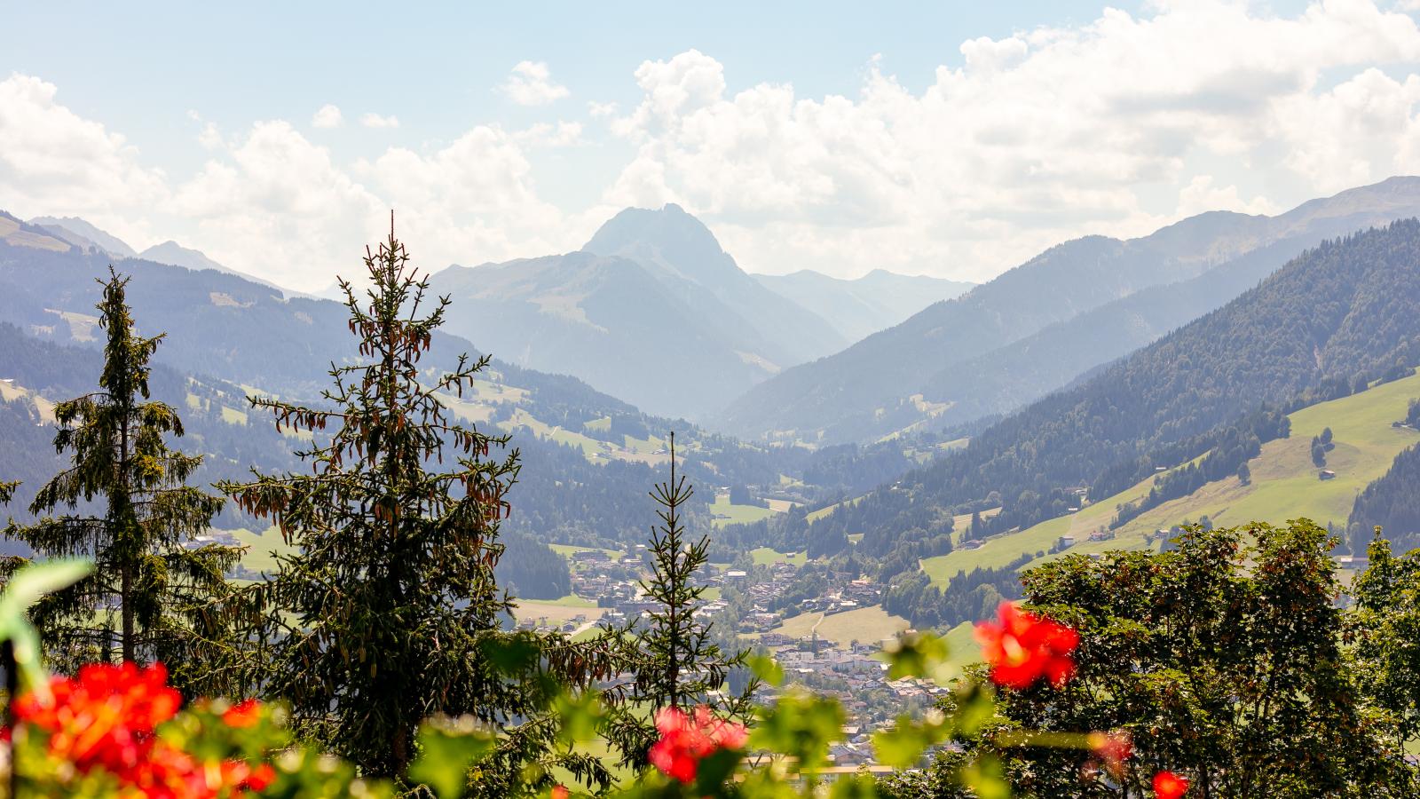 Am Sonnberg - View in summer