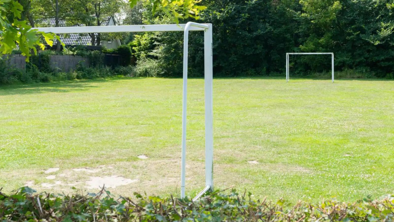 De Leeuwerik