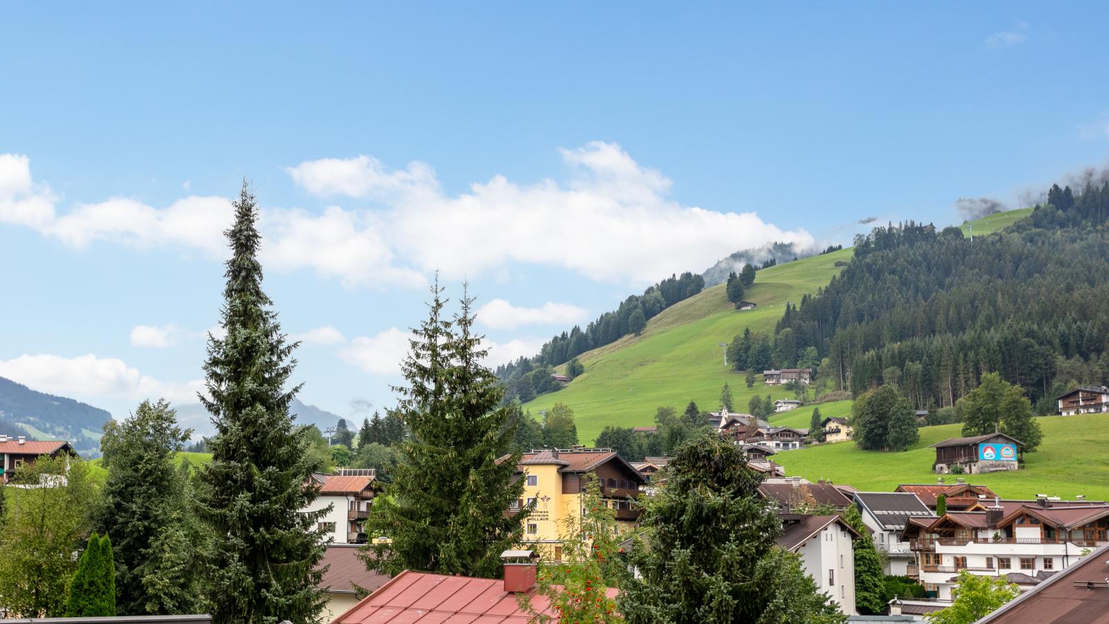 Penthouse Mountain View - View in summer