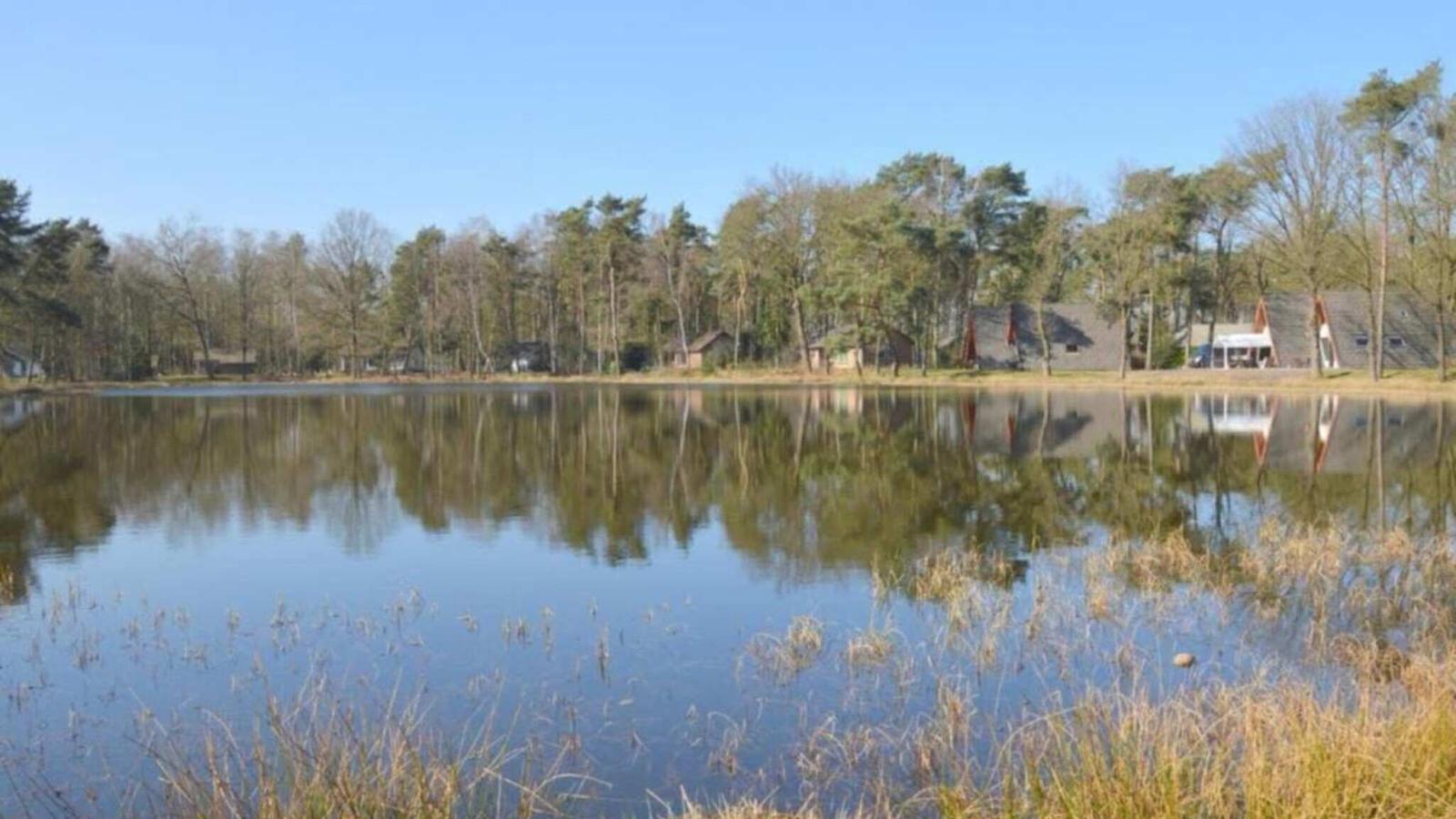 Muizeoortje - Gebieden zomer 1km