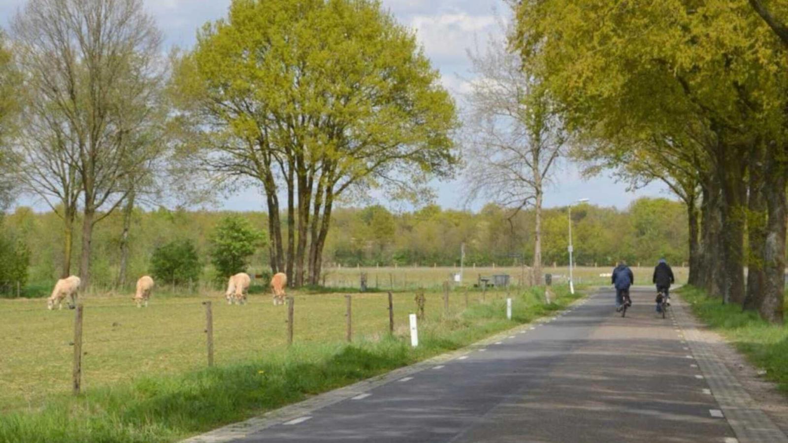 Muizeoortje - Gebieden zomer 5km
