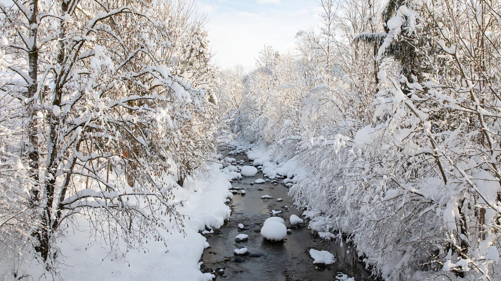 Brixentaler Ache - Area within 20km in winter