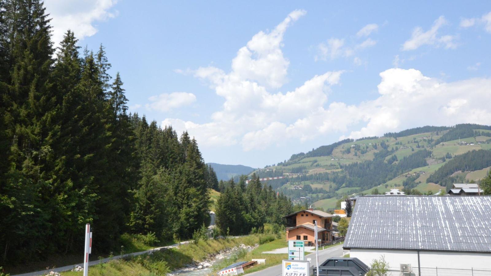 Wagrainer Bergnest 1 - Aussicht Sommer