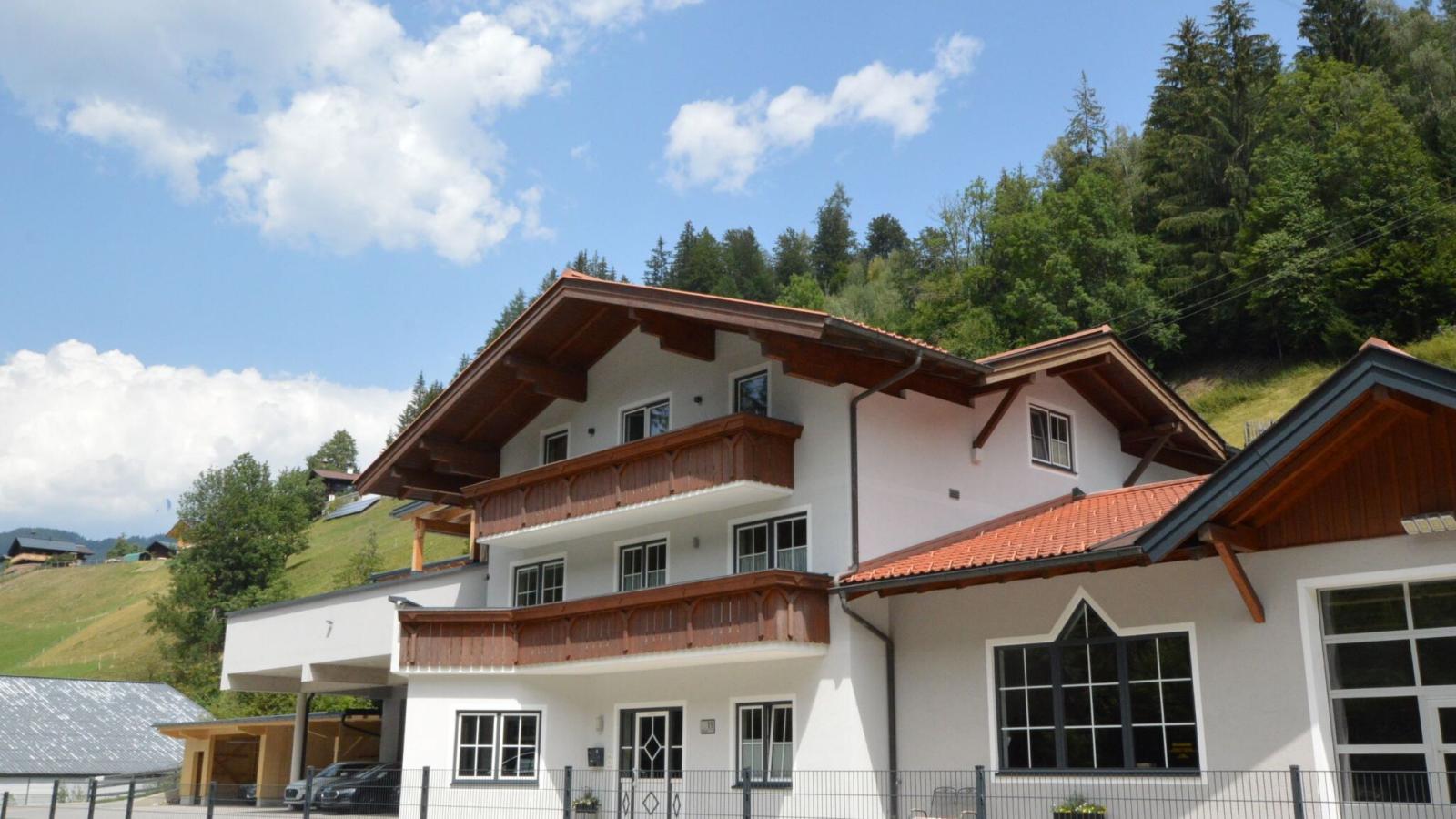 Wagrainer Bergnest 1 - Außenbereich Sommer