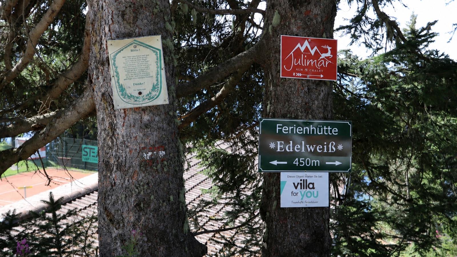 Edelweißhütte - Ambiance