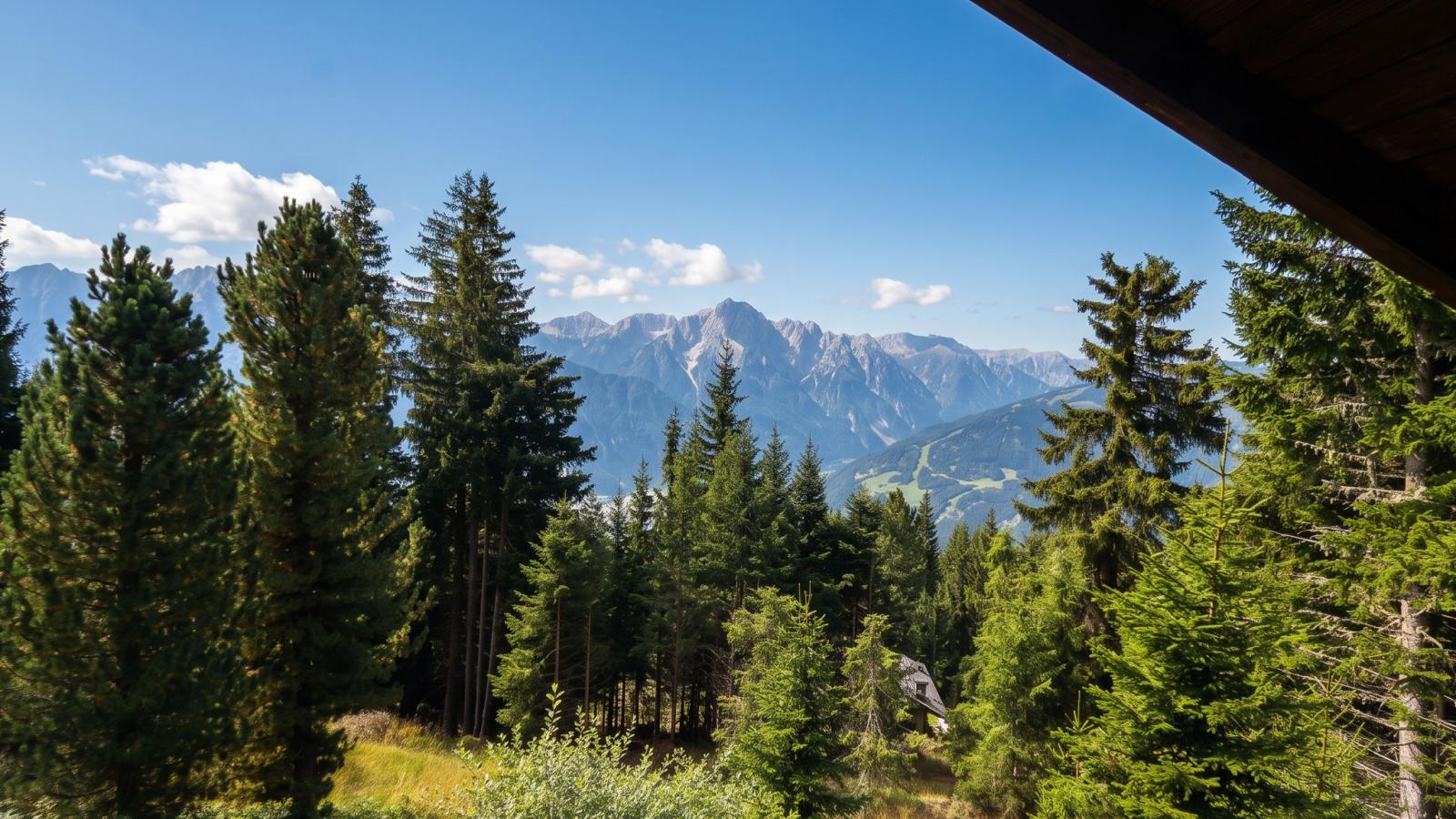 Edelweißhütte - Vue d'été