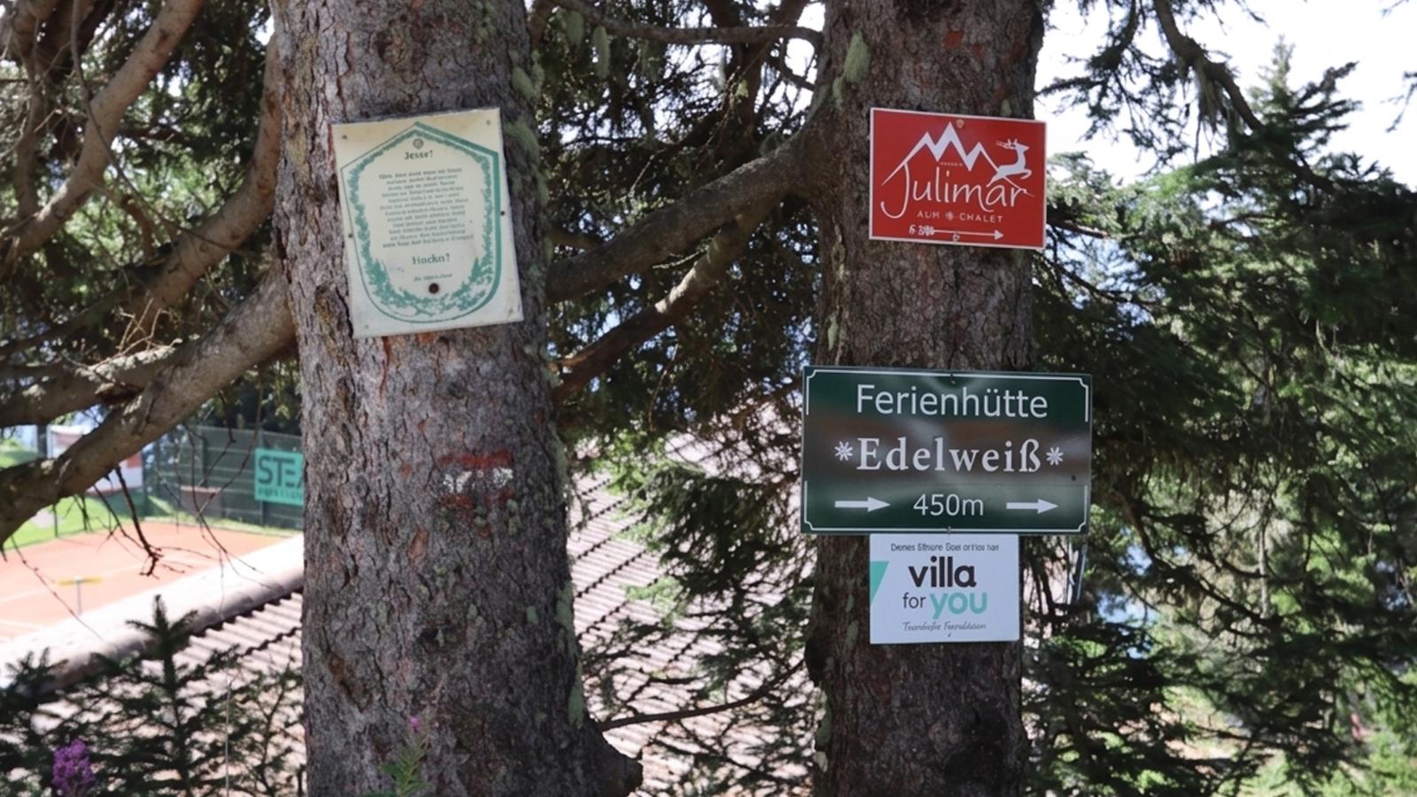 Edelweißhütte - Ambiance