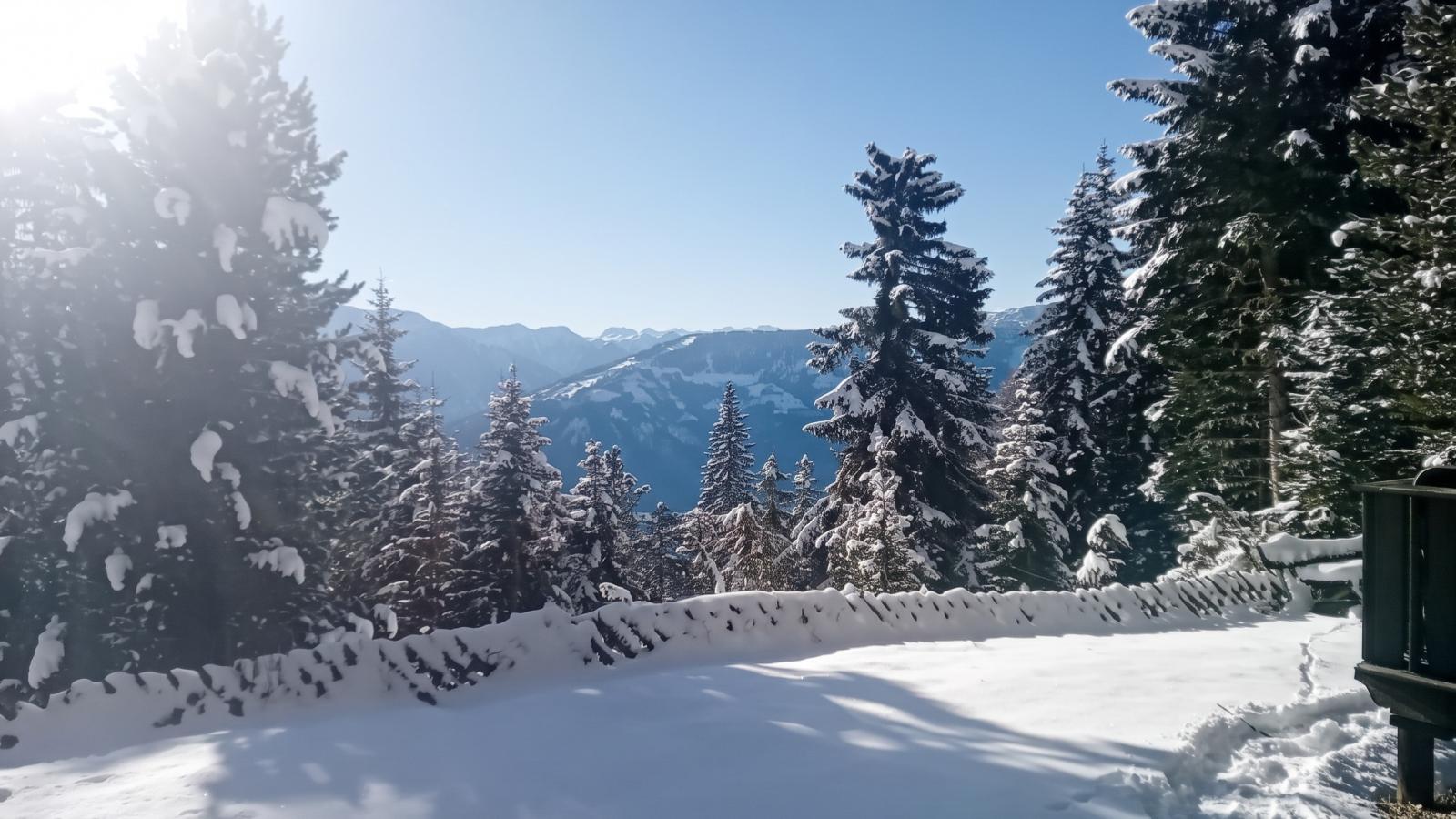 Edelweißhütte - Vue d'hiver