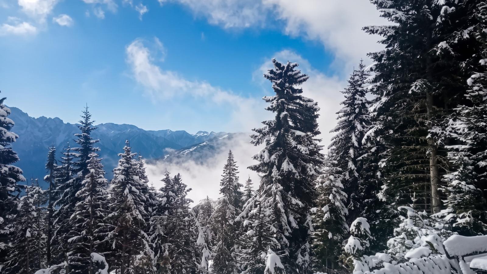 Edelweißhütte - Zones hiver à 20 km