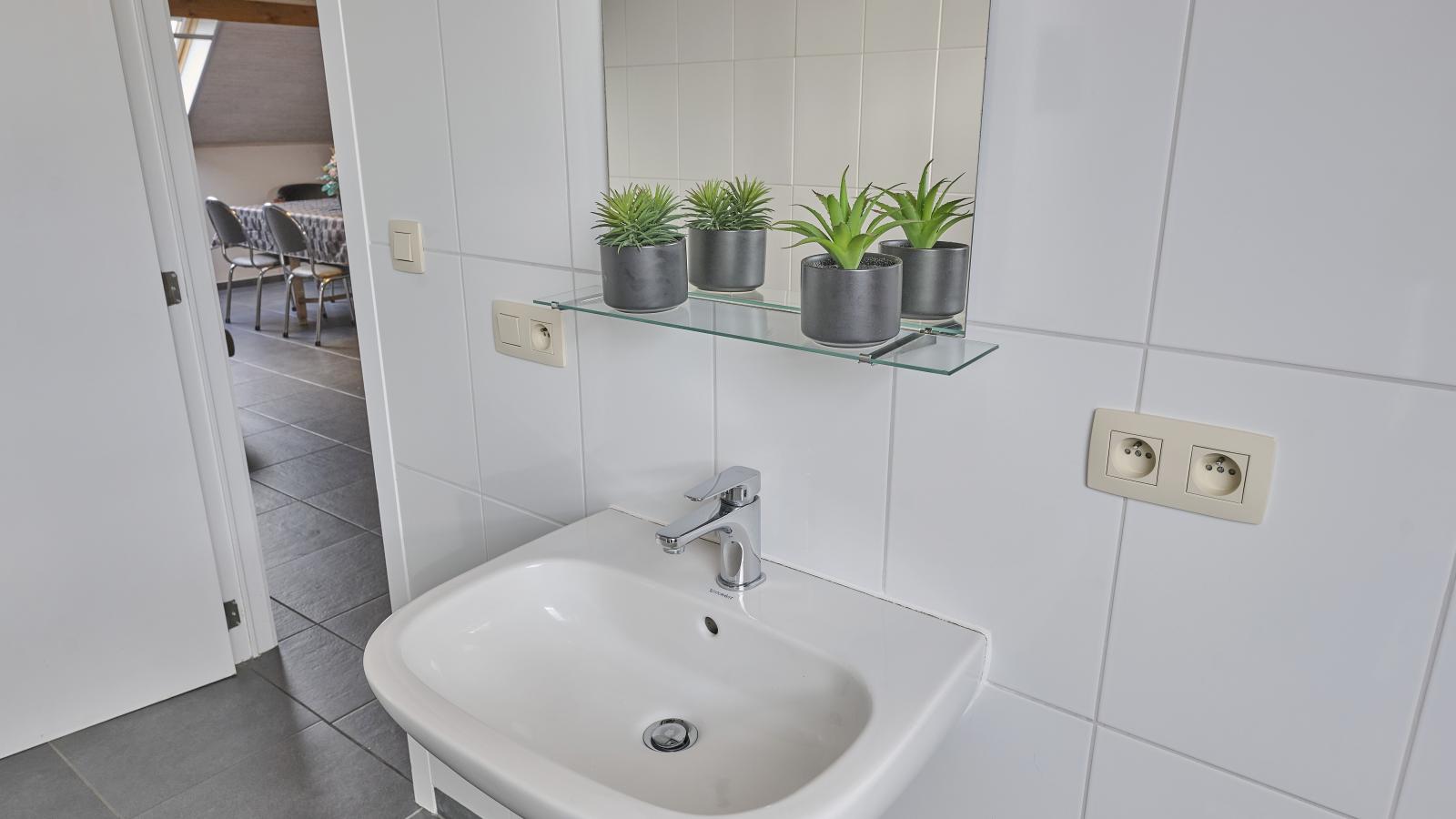 In de Wollekjes - Badkamer