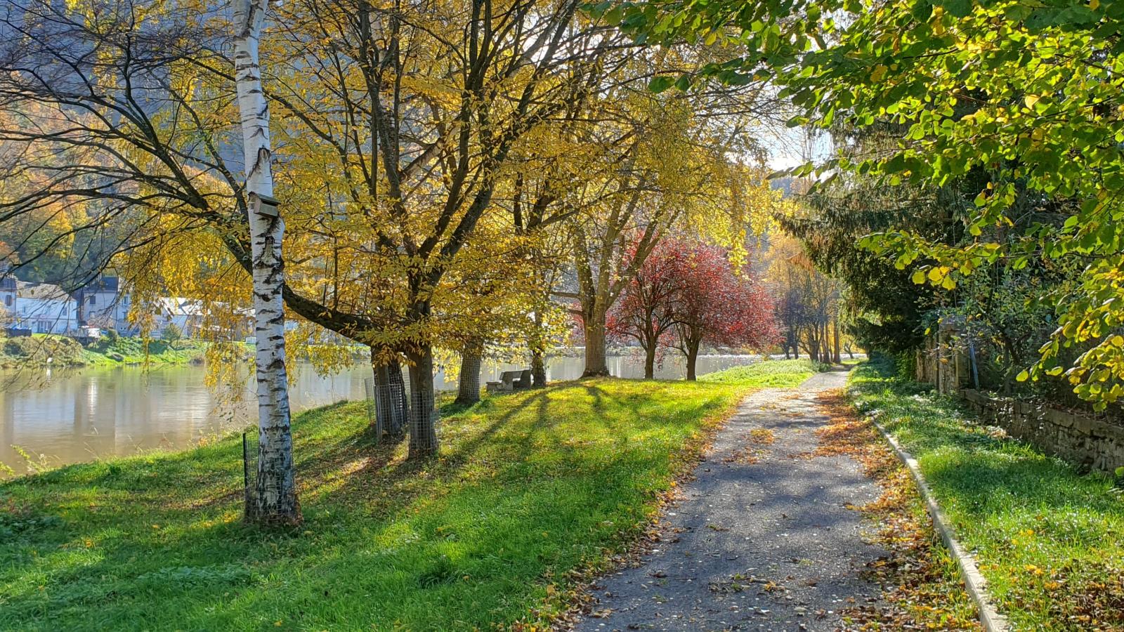 Relaxooz - Areas within 1km in summer
