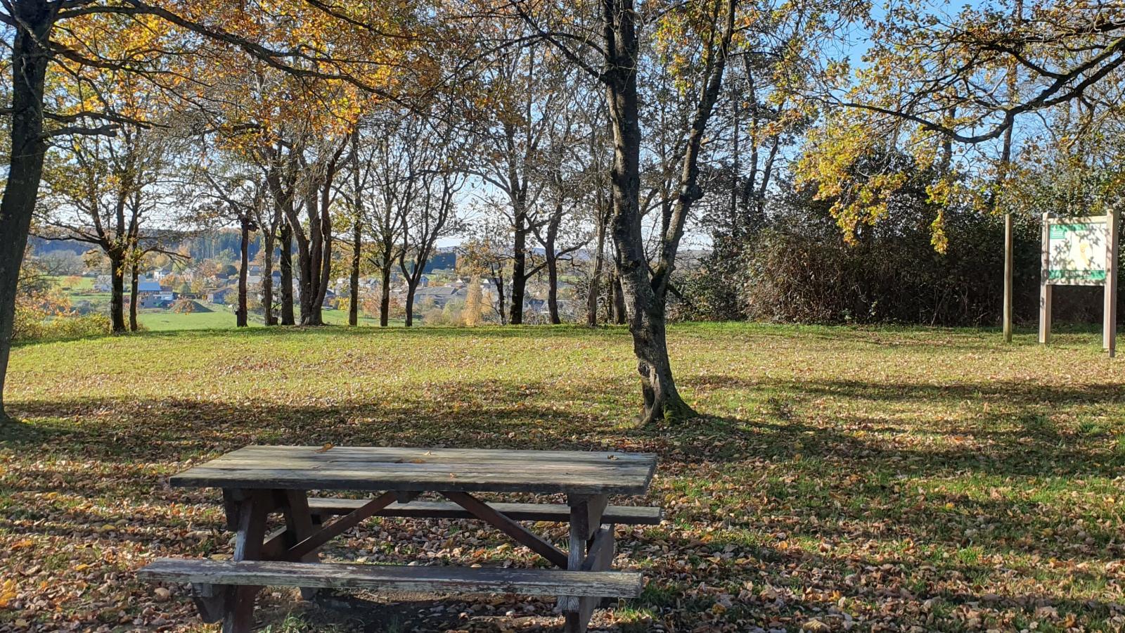 Relaxooz - Areas within 5km in summer