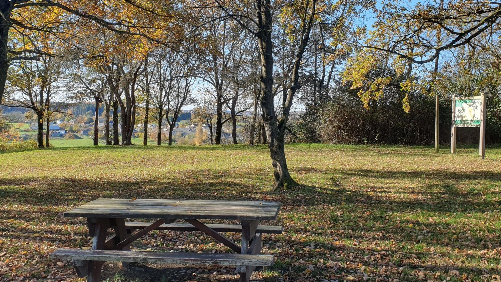 Relaxooz bis - Areas within 5km in summer