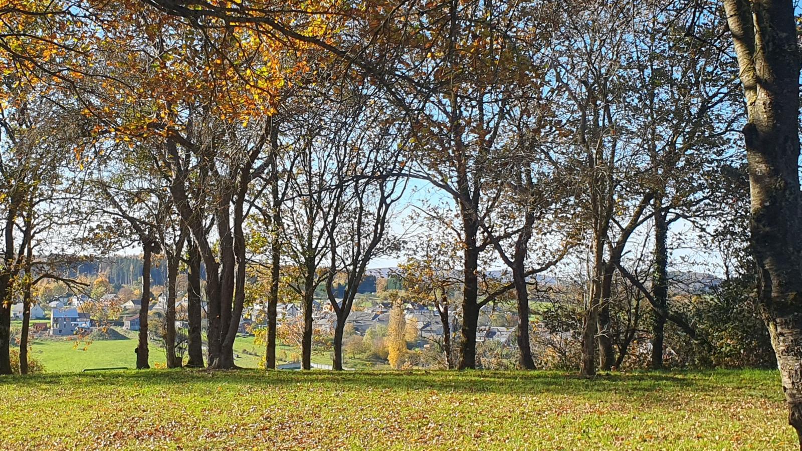 Relaxooz bis - Areas within 5km in summer