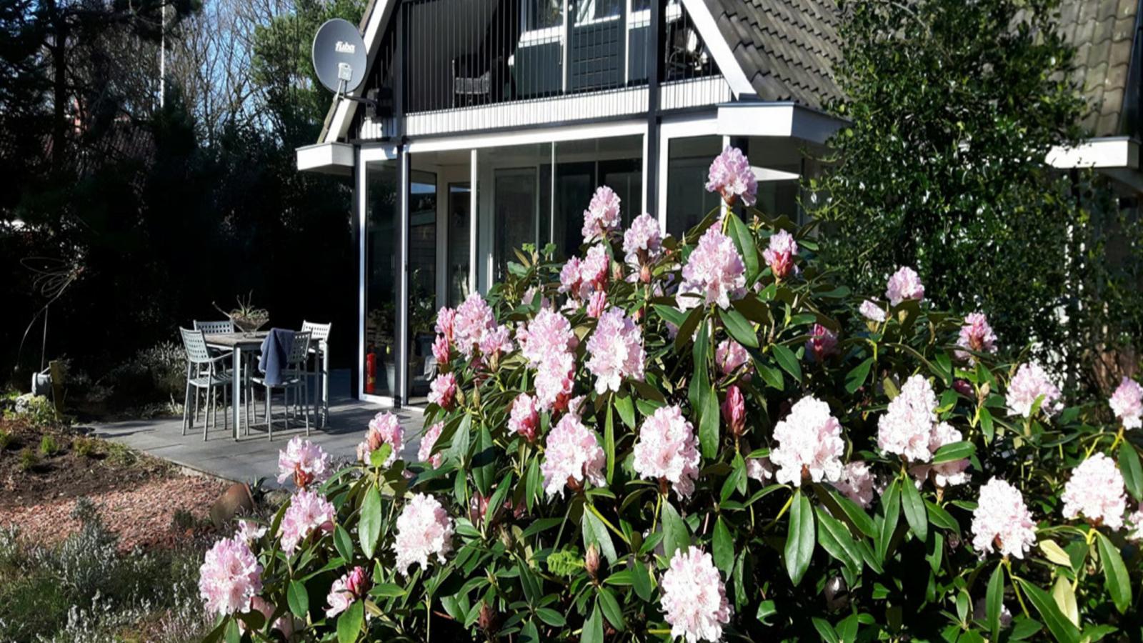 HasseBassie - Exterior in summer