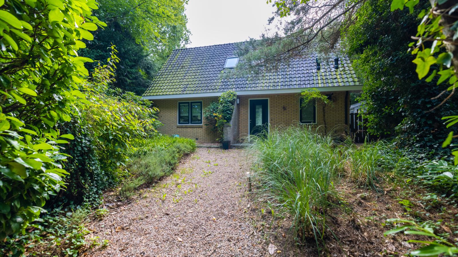 HasseBassie - Exterior in summer