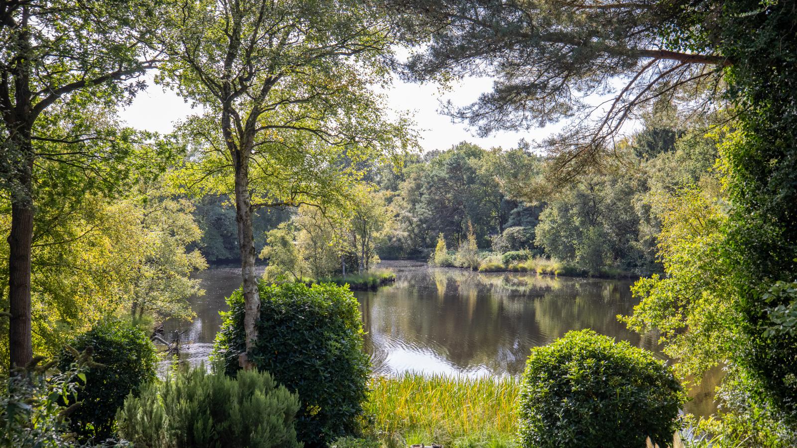 HasseBassie - View in summer