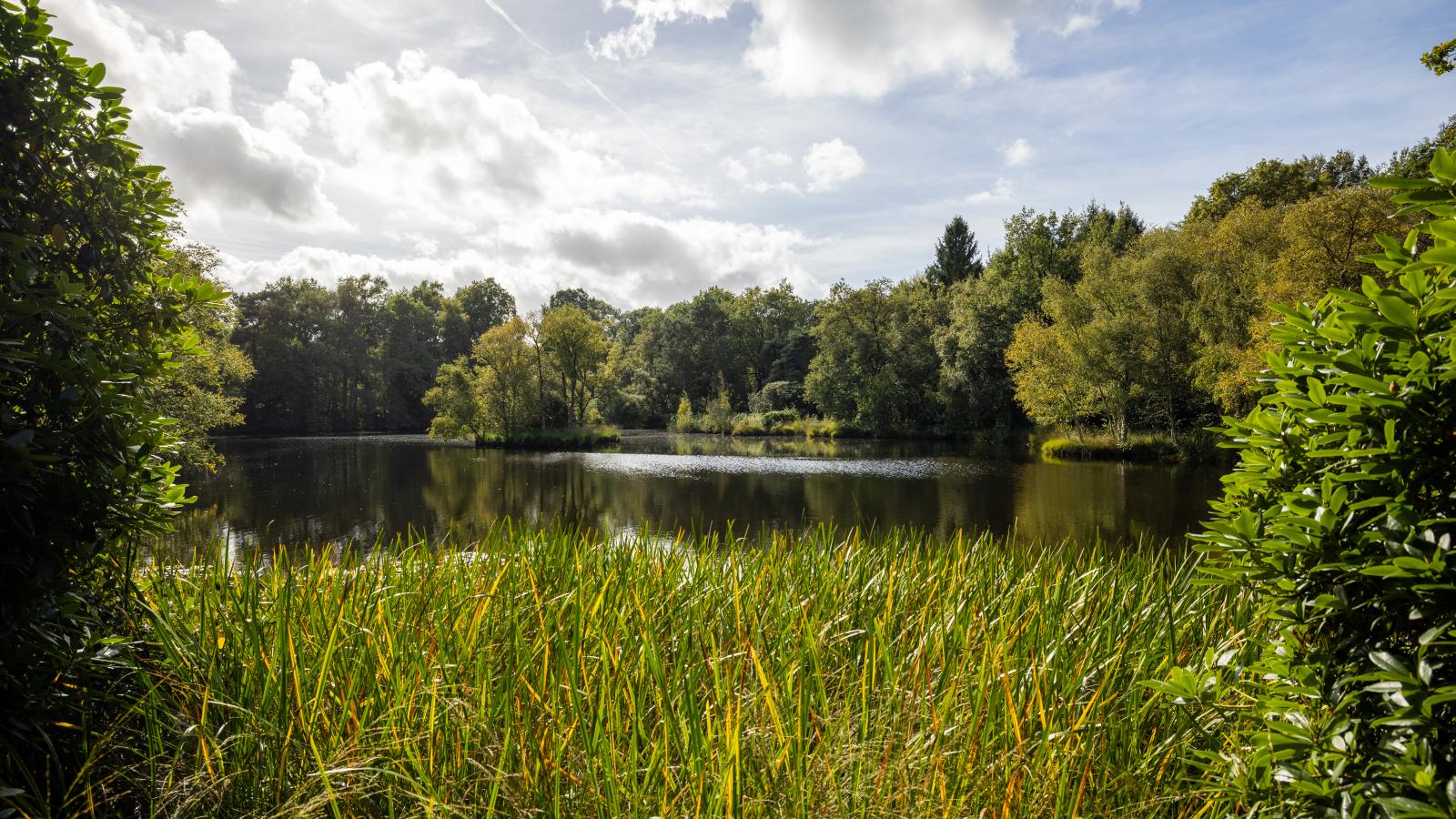 HasseBassie - View in summer