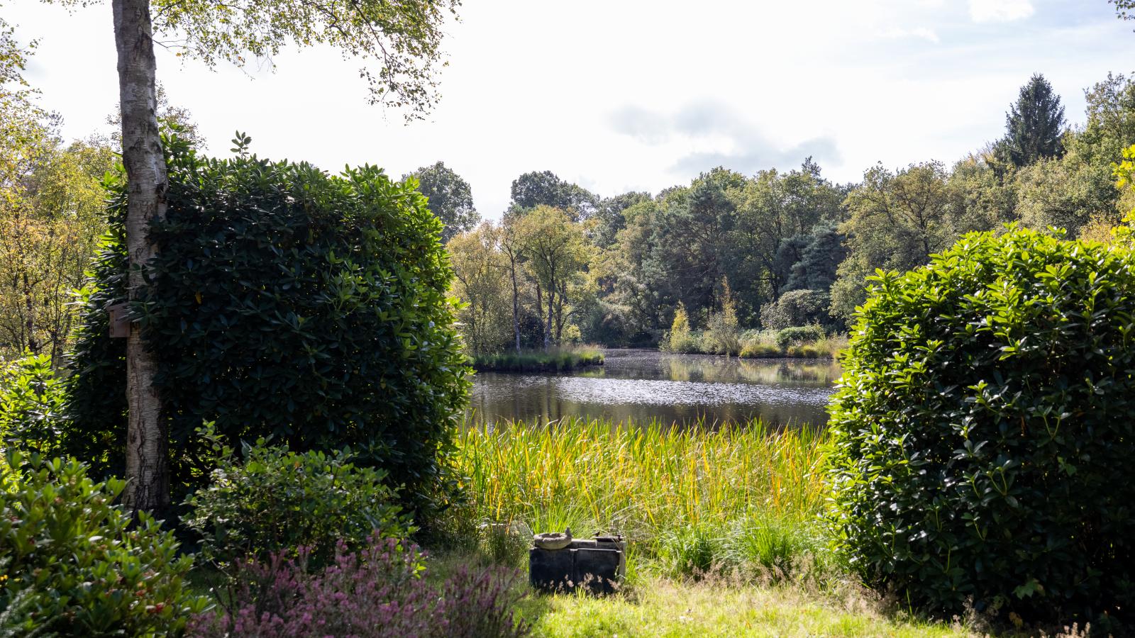 HasseBassie - View in summer
