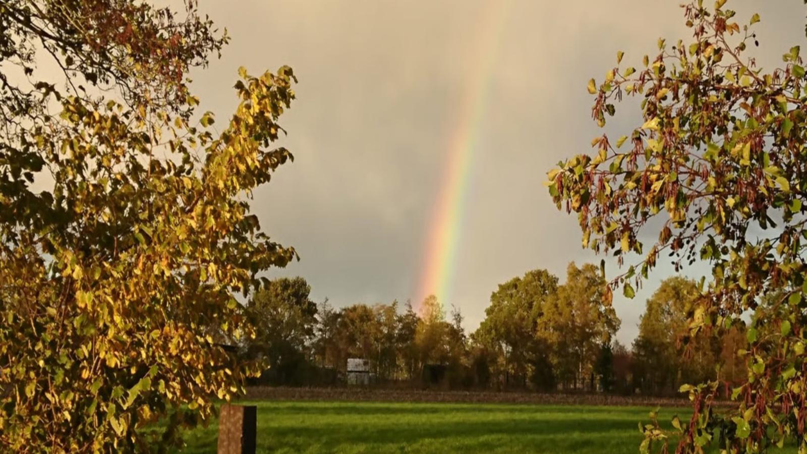 HasseBassie - Areas within 1km in summer